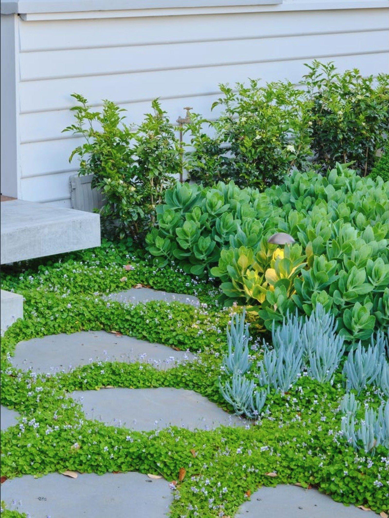 1 Dixon Street, Malvern, 3144