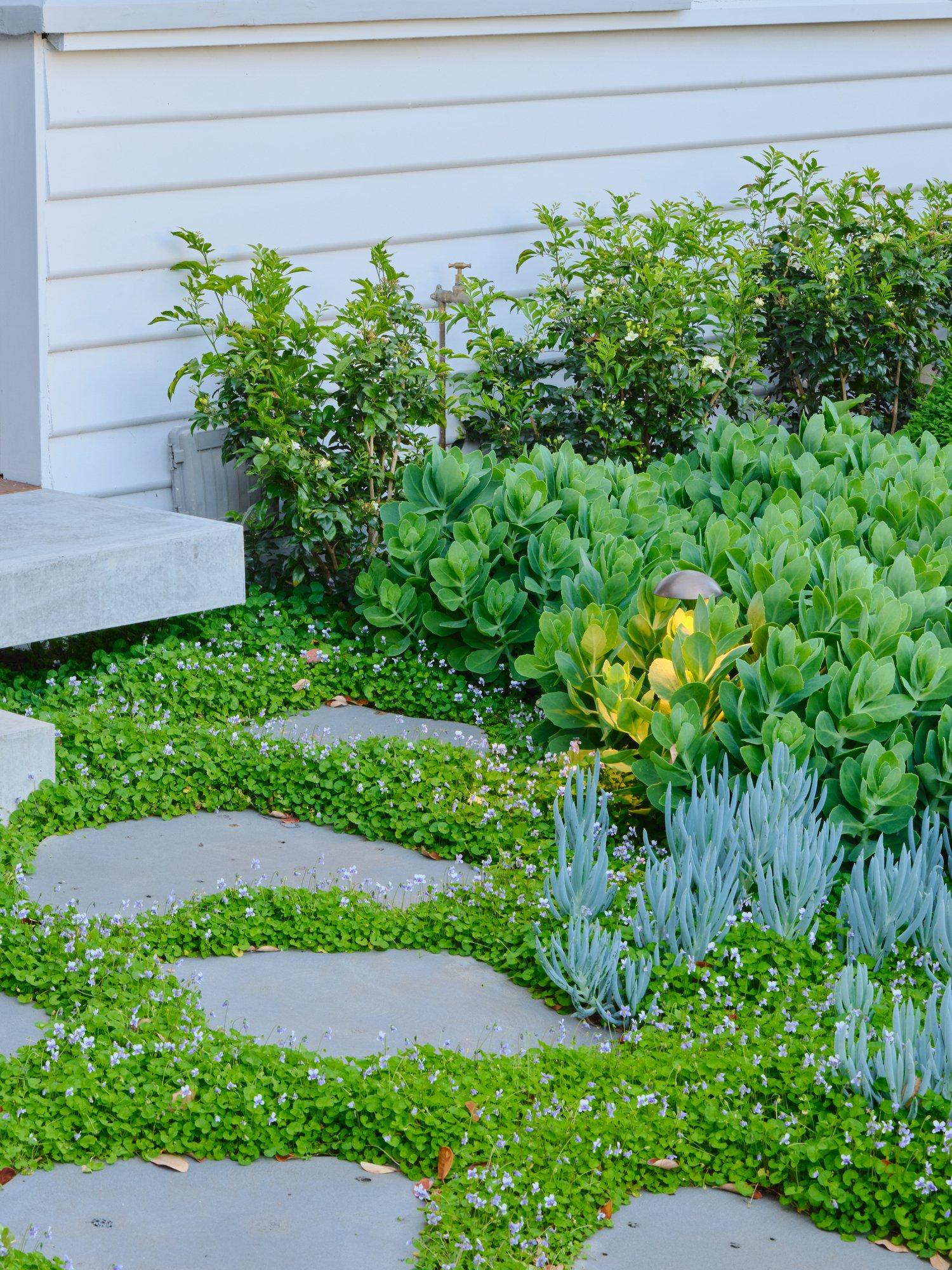 1 Dixon Street, Malvern, 3144