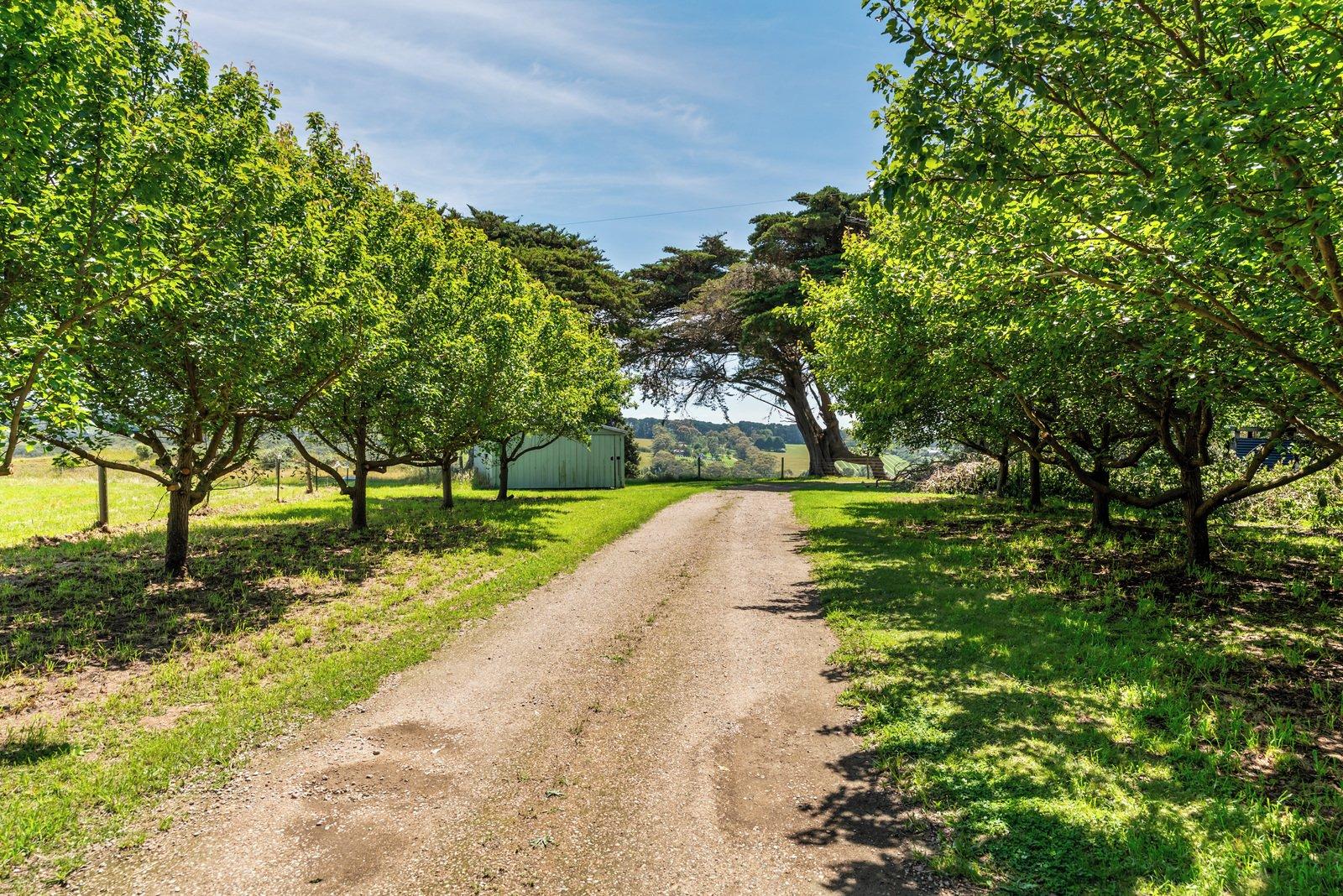 101 Whitehall Road, Flinders, 3929