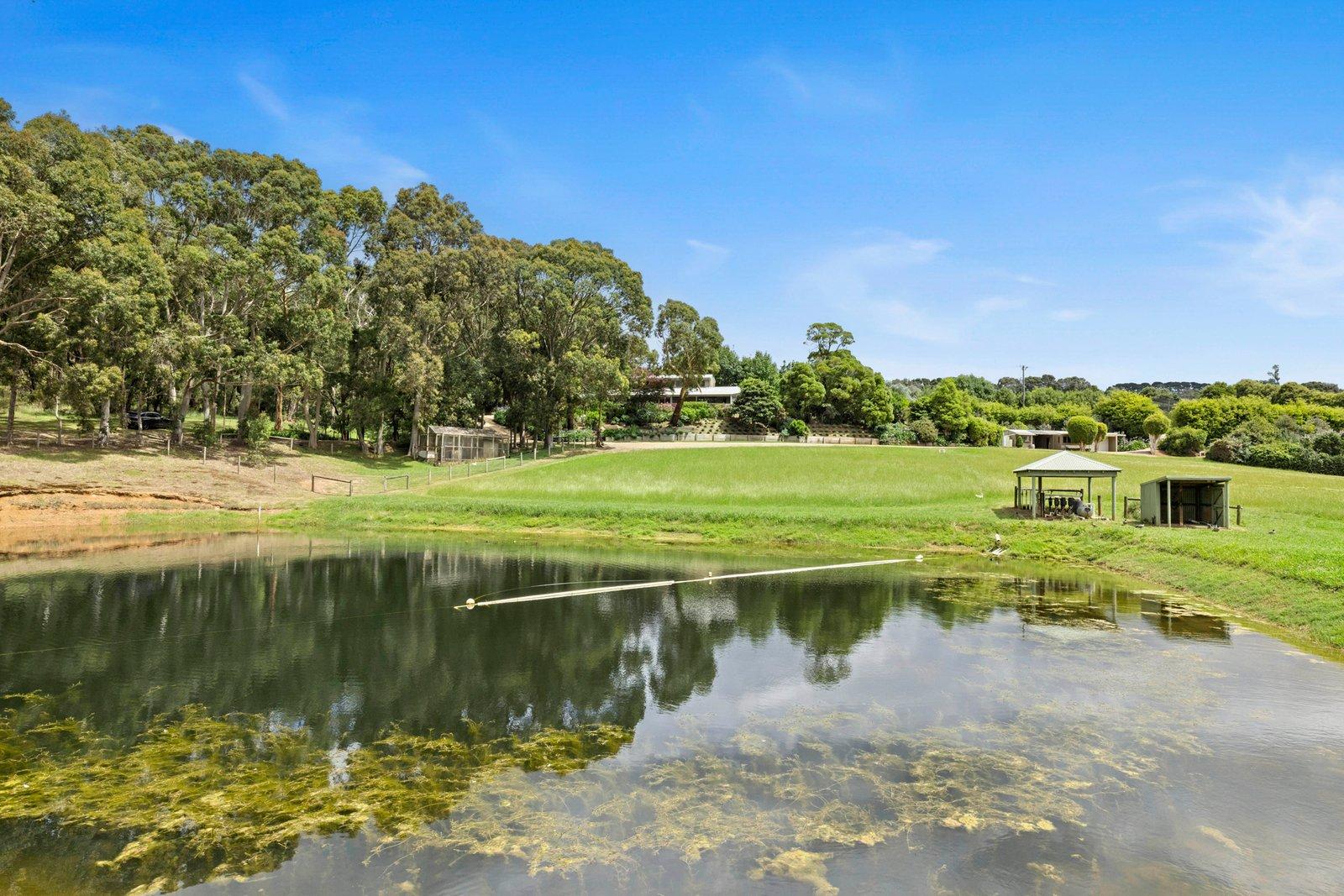 109 Mcilroys Road, Red Hill, 3937