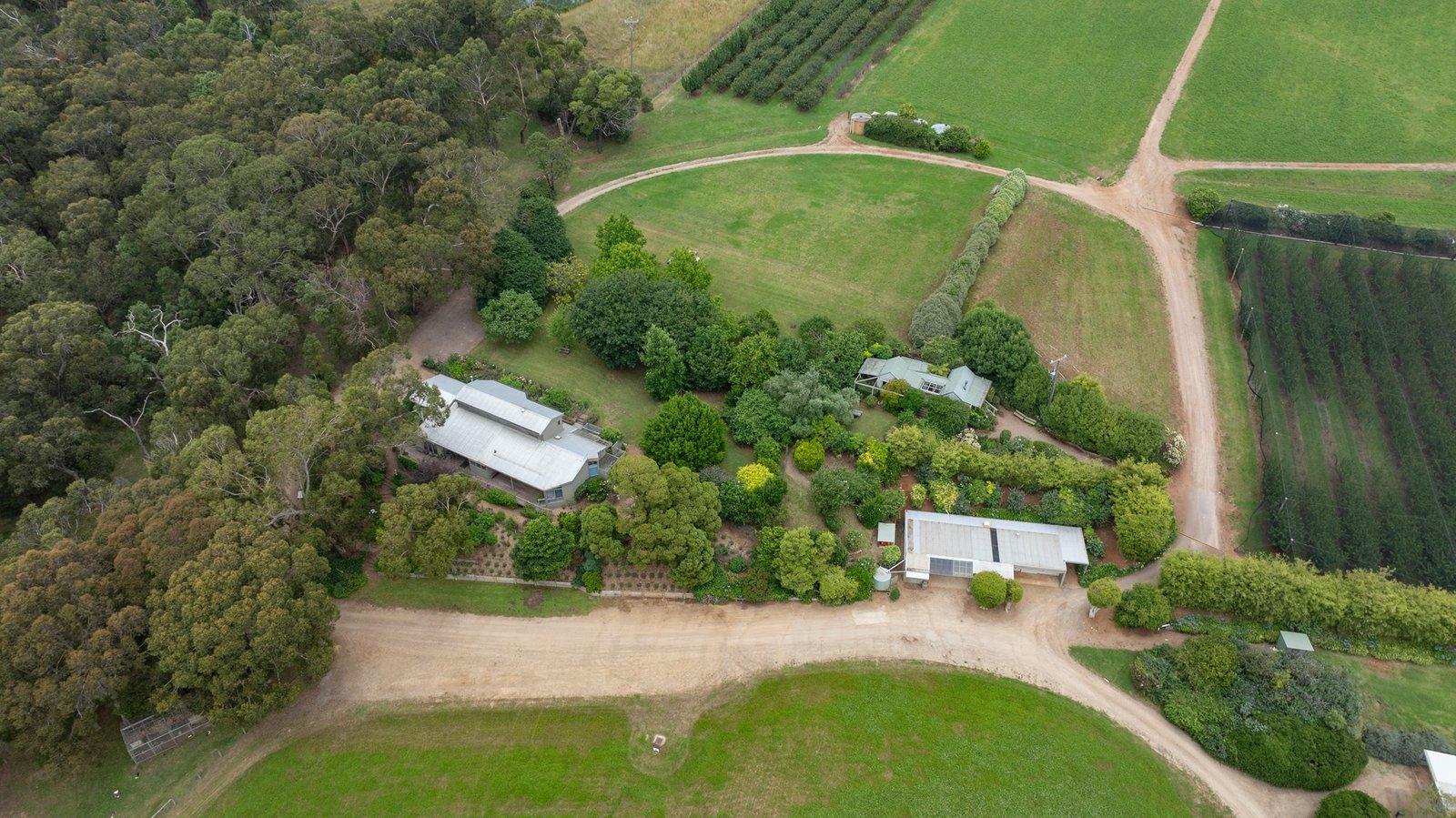 109 Mcilroys Road, Red Hill, 3937