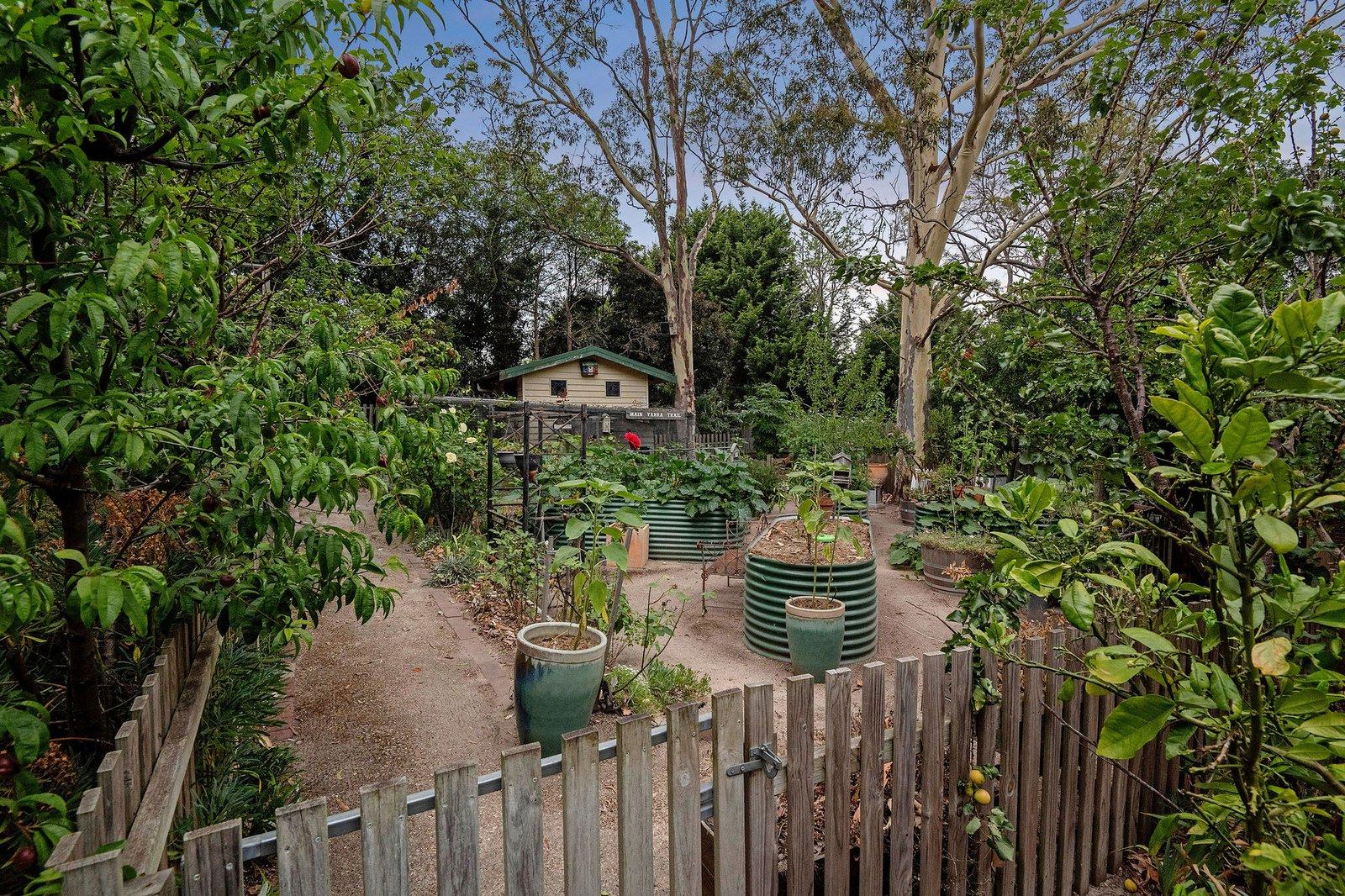 11 Bareena Drive, Mount Eliza, 3930