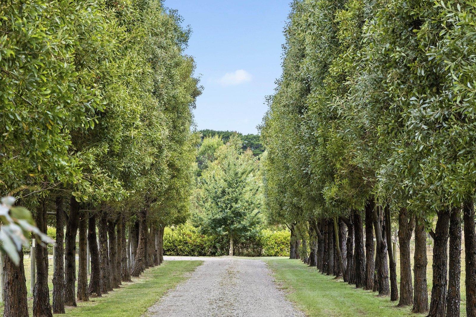 111 Coolart Road, Bittern, 3918