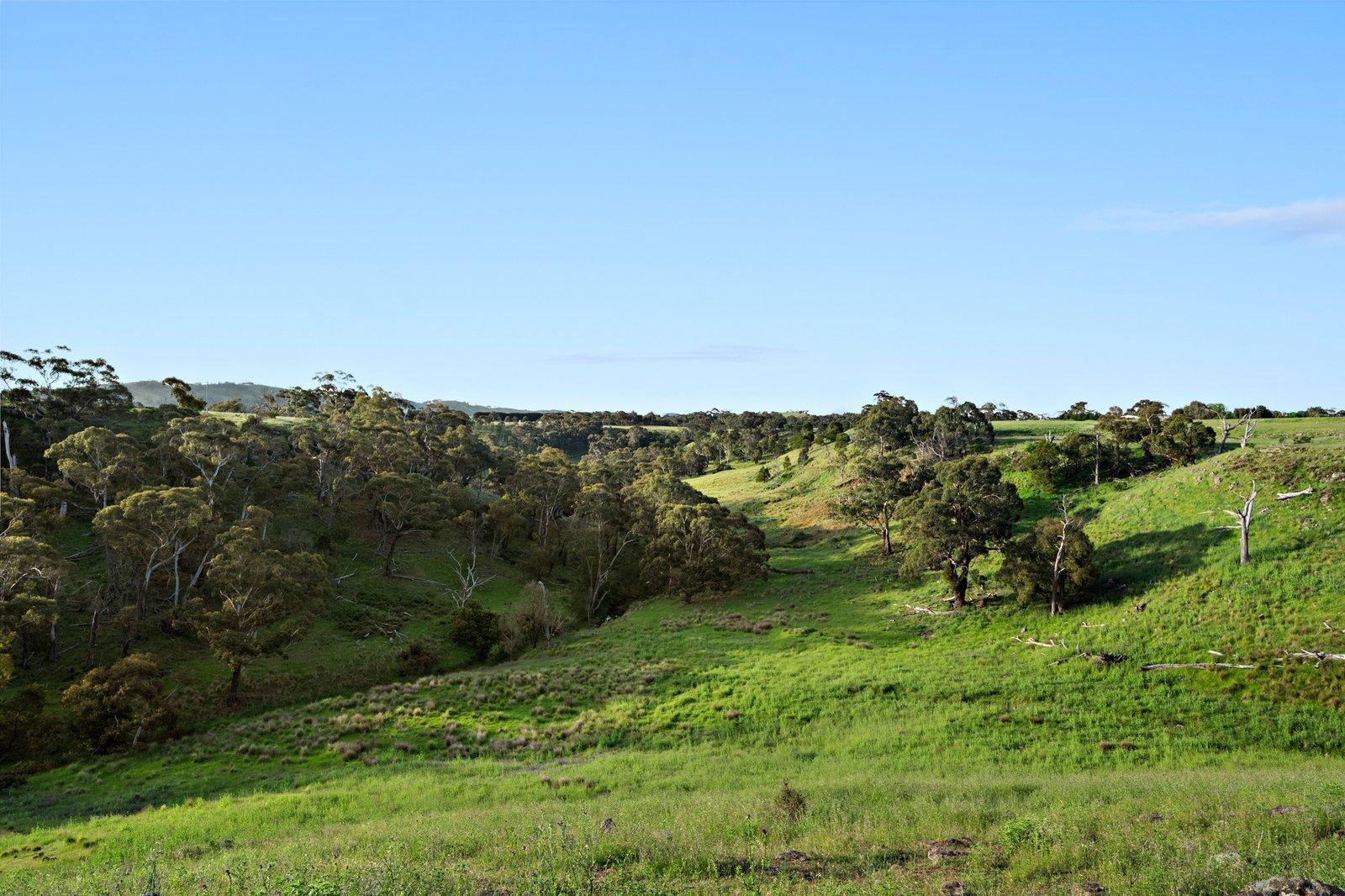 1133 Kilmore Lancefield Road, Springfield, 3434