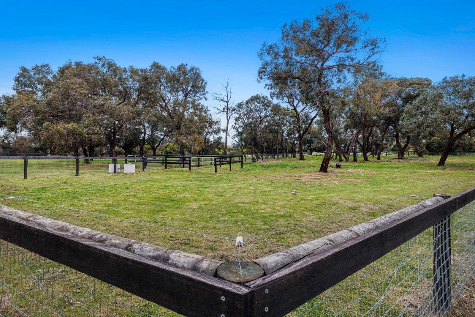 12 Yaringa Road, Somerville, 3912