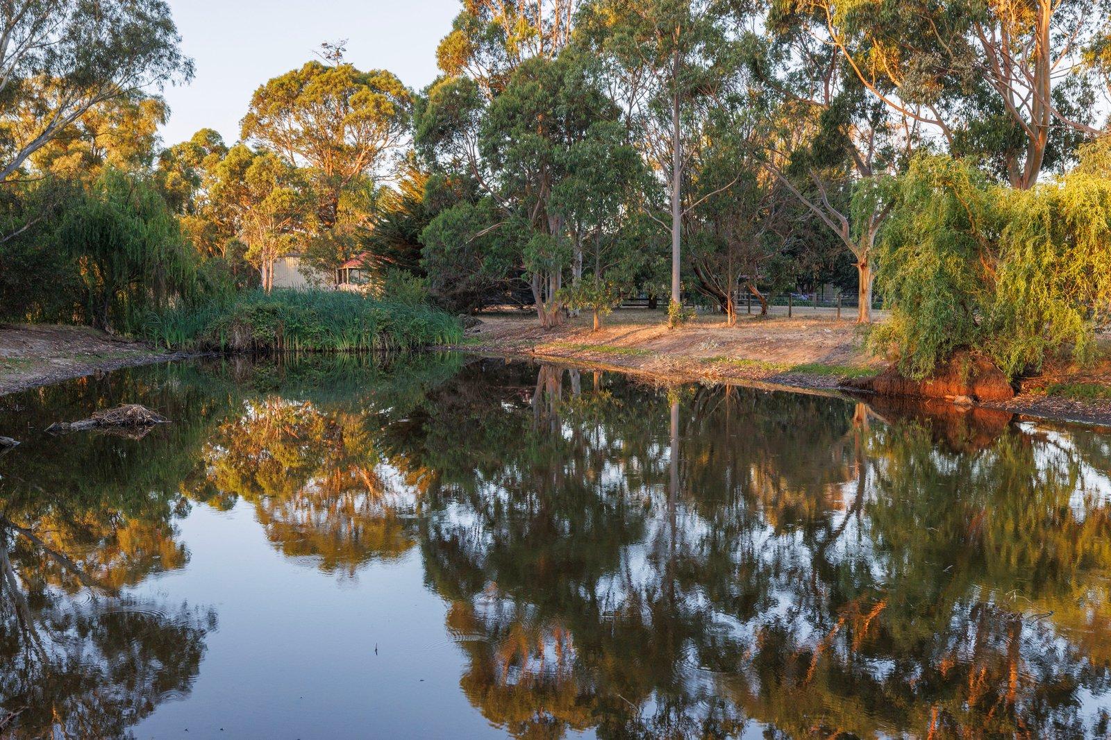 16 Woods Road, Pearcedale, 3912