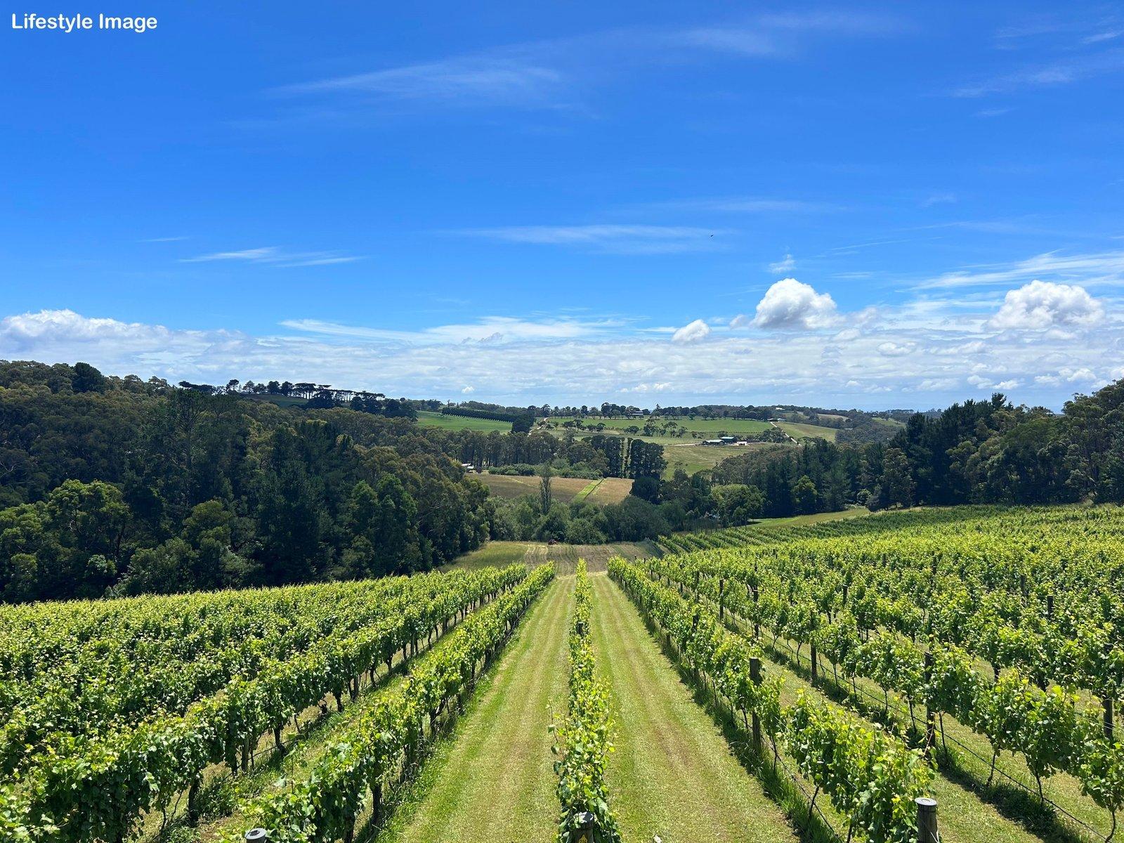 17 Station Road, Red Hill, 3937