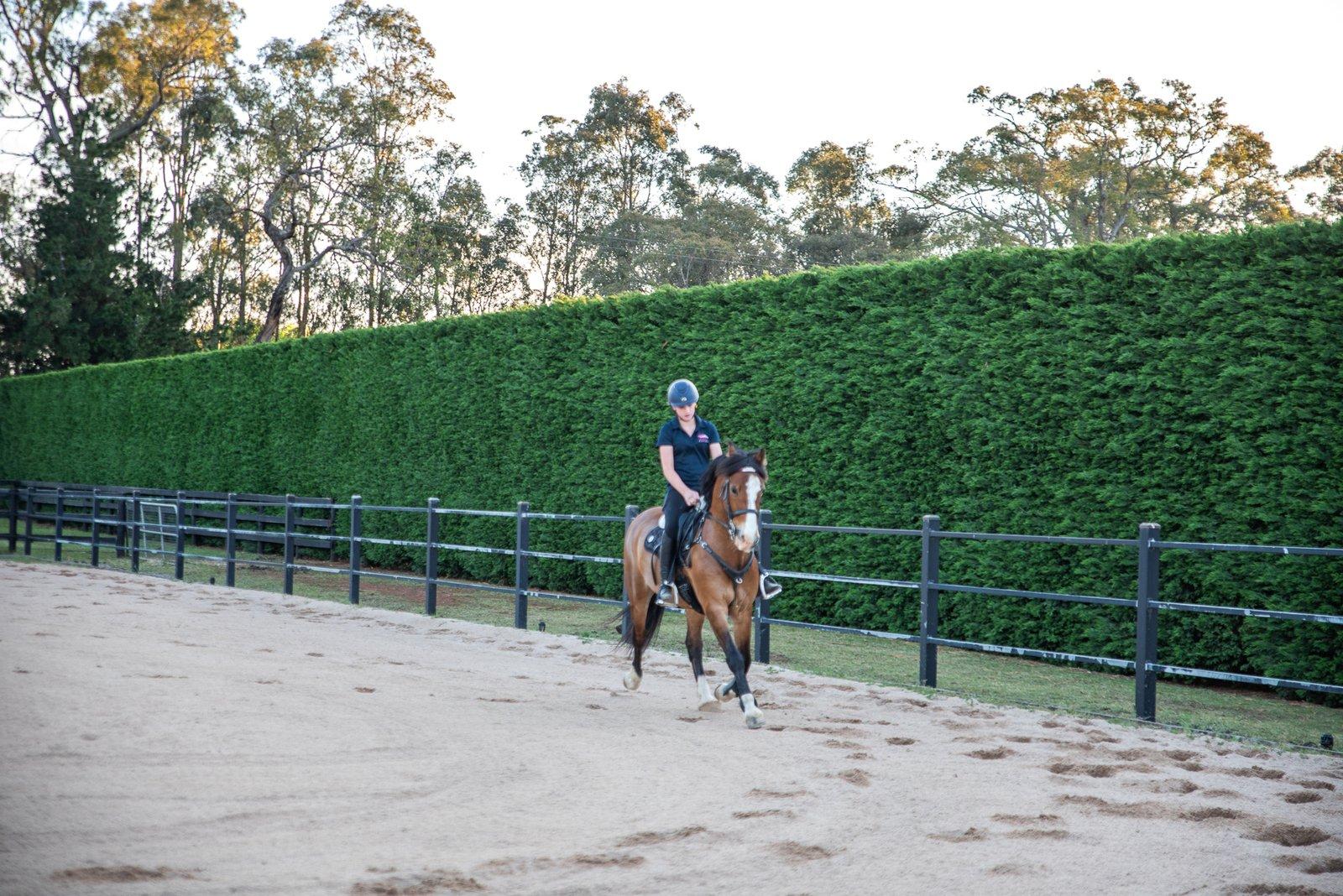 194-204 King Road, Harkaway, 3806