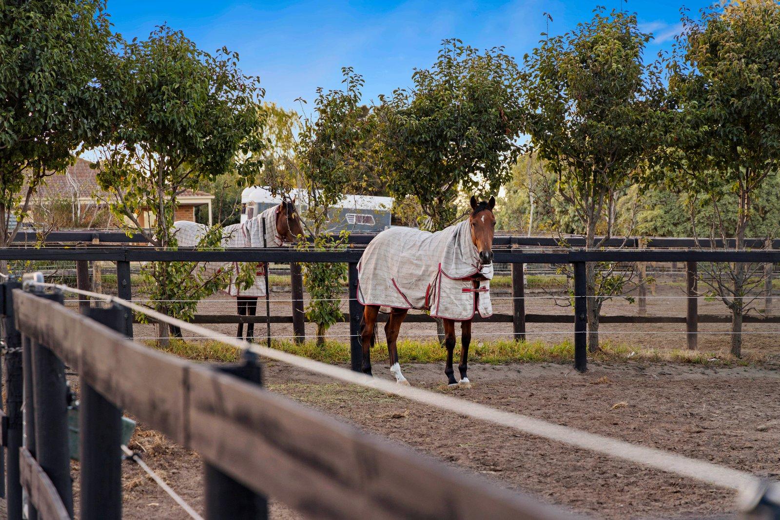 195 Roberts Road, Mornington, 3931