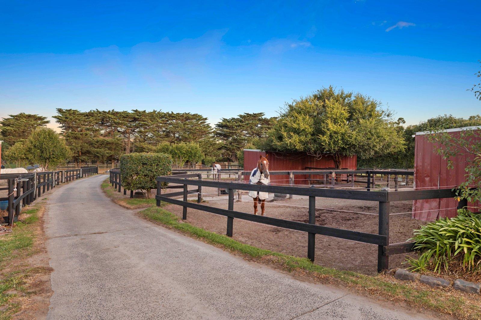 195 Roberts Road, Mornington, 3931