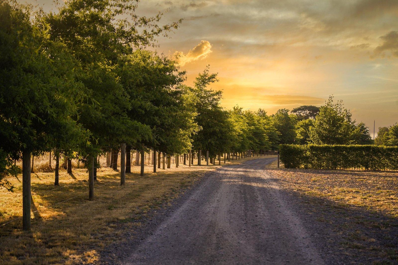 20 Belty Drive, Denver, 3461