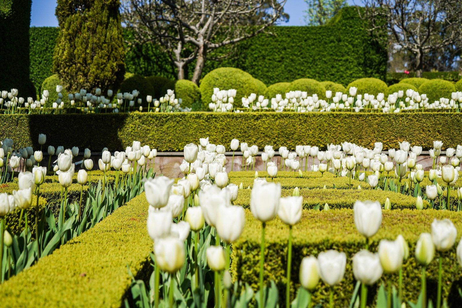 20 Belty Drive, Denver, 3461