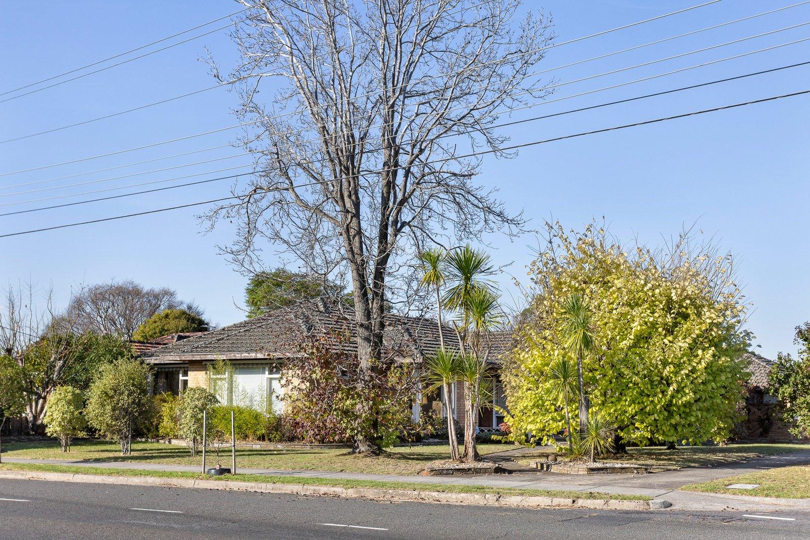 20 Cummins Road, Brighton East, 3187