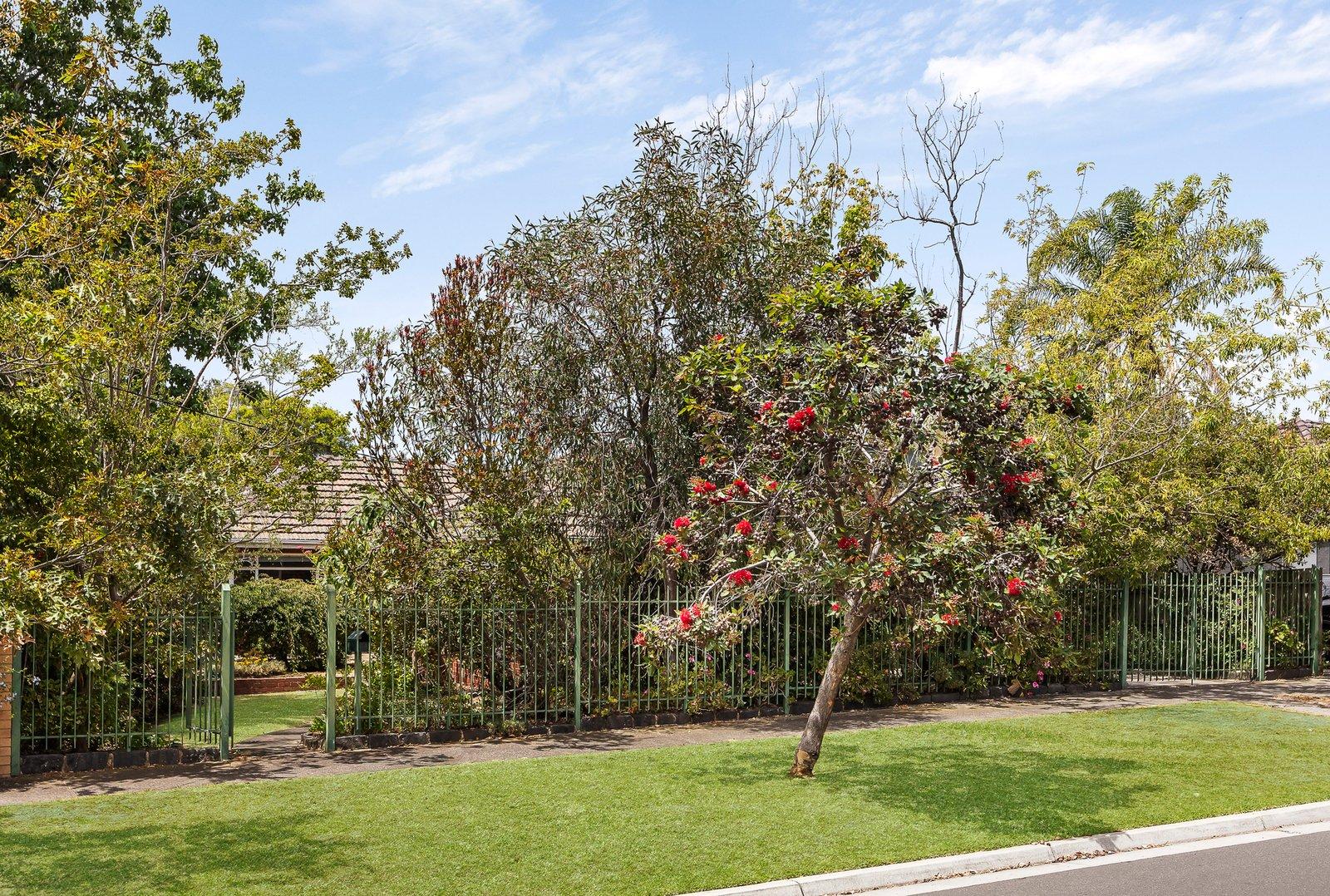 24 Hornby Street, Brighton East, 3187