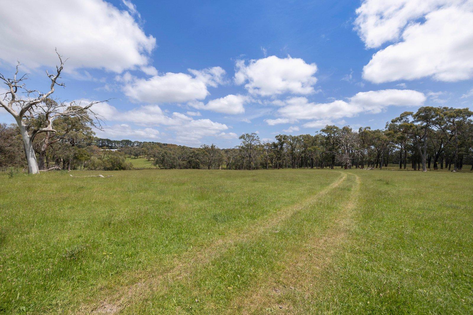 365 Wallaces Road, Dromana, 3936