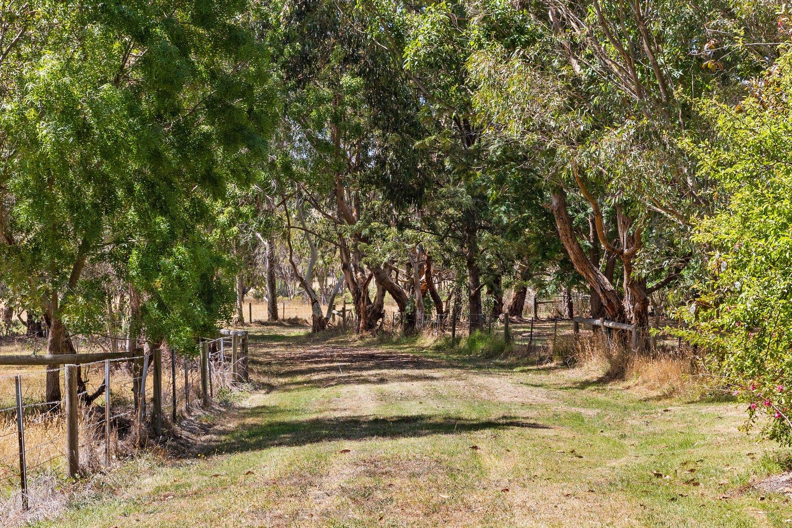 3650 Frankston Flinders Road, Merricks, 3916