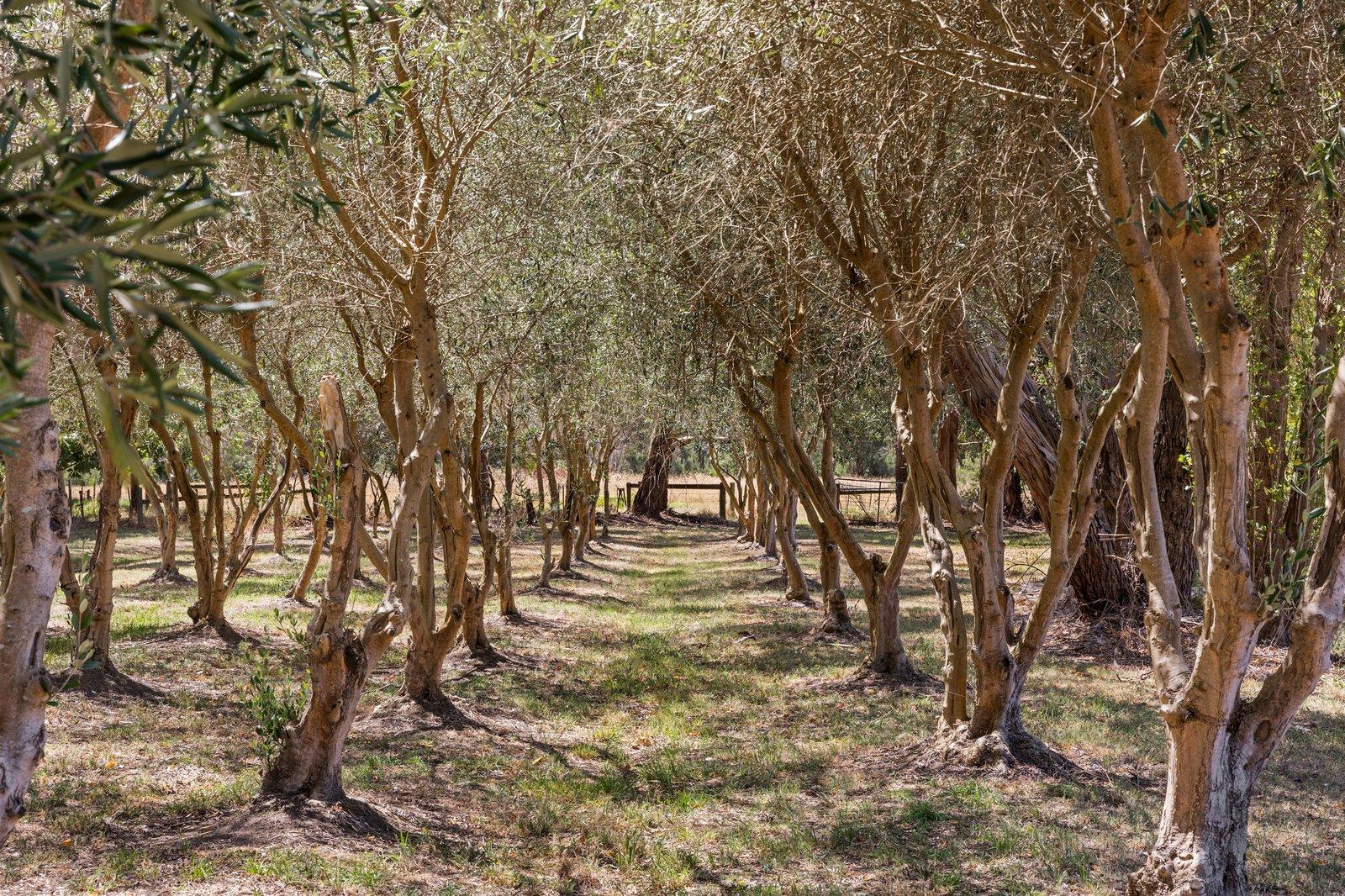 3650 Frankston Flinders Road, Merricks, 3916