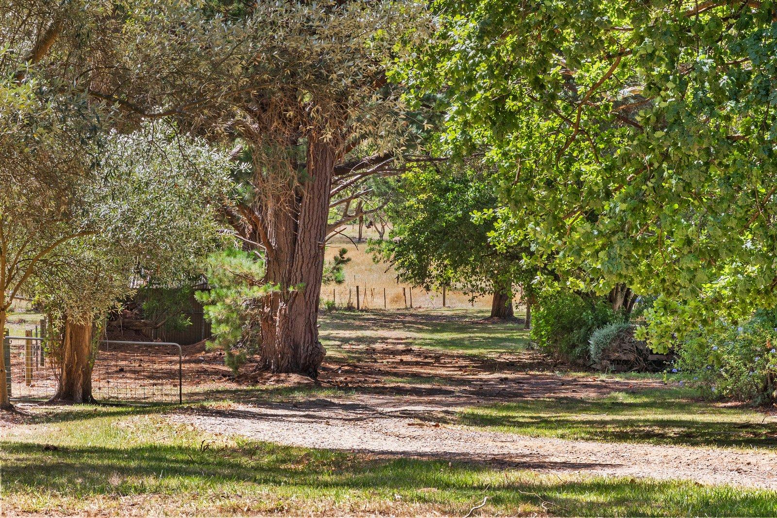 3650 Frankston Flinders Road, Merricks, 3916