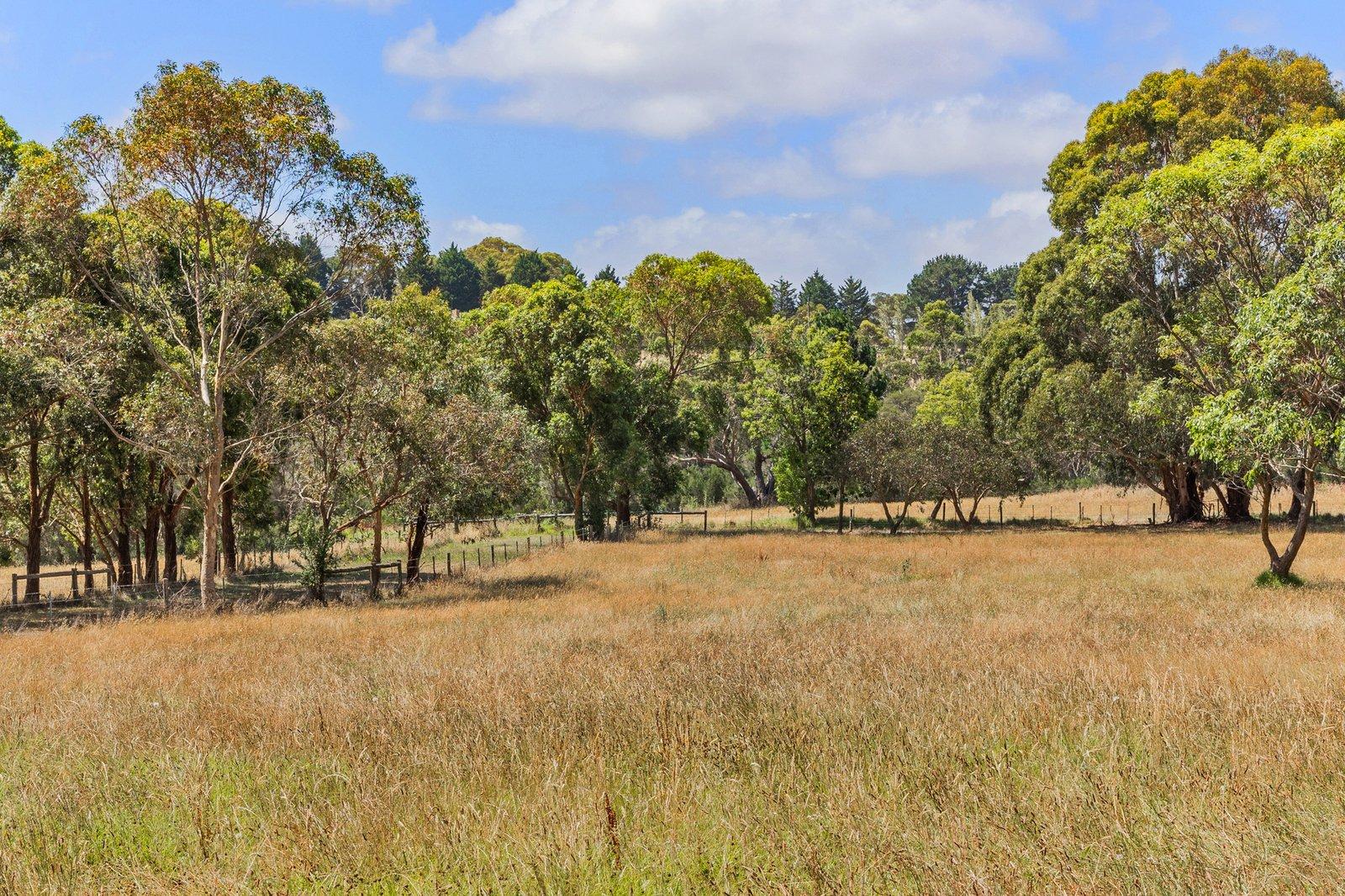 3650 Frankston Flinders Road, Merricks, 3916