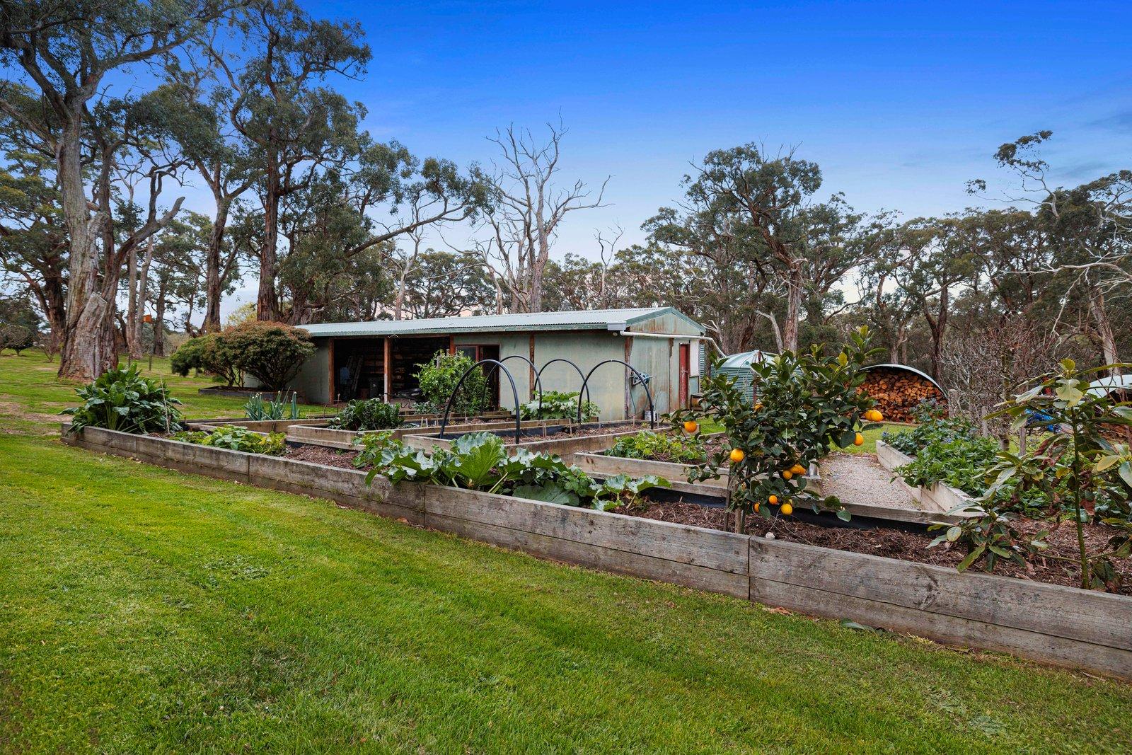 390 Baldrys Road, Main Ridge, 3928
