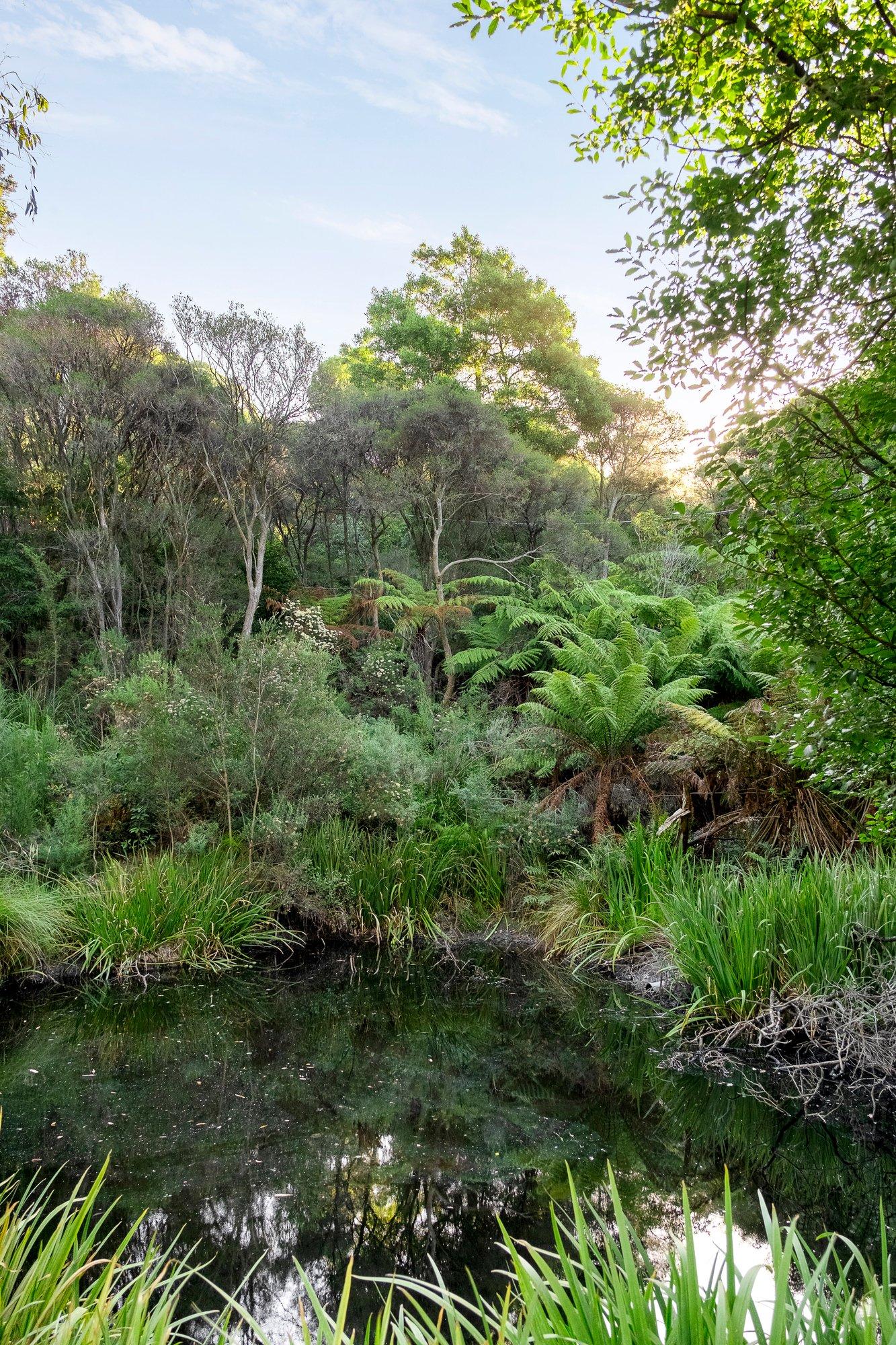 Arthurs Seat, 3936, 3936
