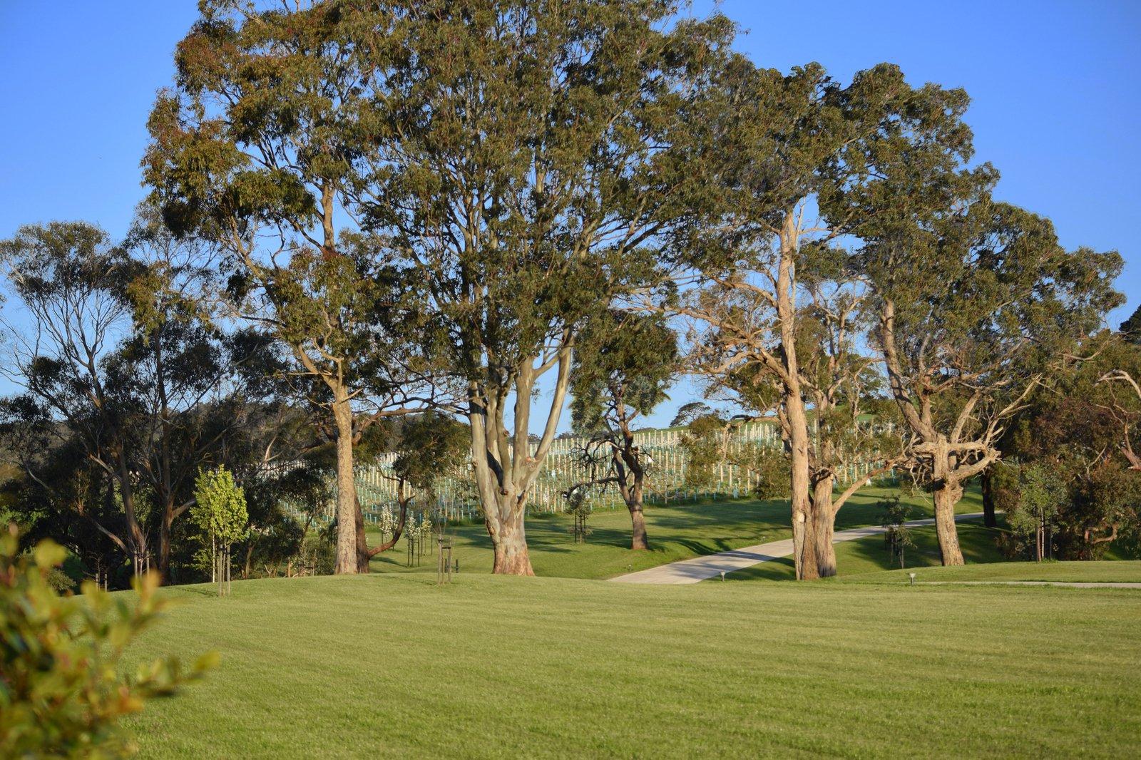 Red Hill, 3937, 3937